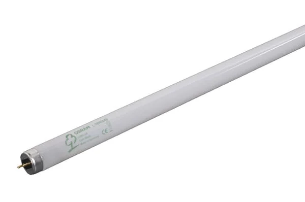 Osram - TL36W830P25 - Leuchtmittel Leuchtstoffröhre T8 103V 36W G13 Weiß Osram