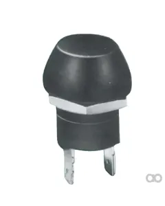 Pneutron - 17153000 - Druckschalter