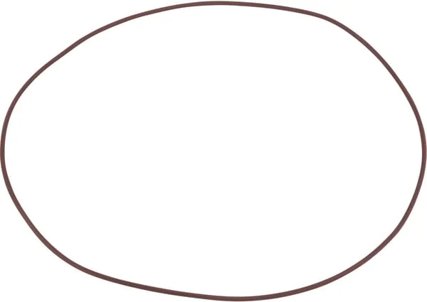 Raico - 215391790N - Dichtung 279x3,53 mm