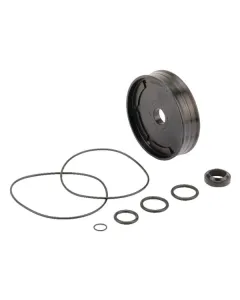 Ramus - 39CYTD100 - Dichtungssatz Fuer 6" Pneum. Zyl.