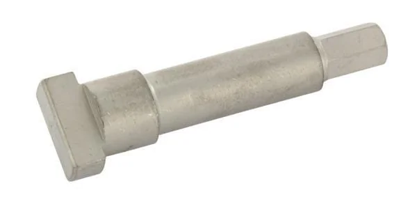 SAIP - LAV9BUL6DP100 - Sechskant-Innenteil Fuer DP100