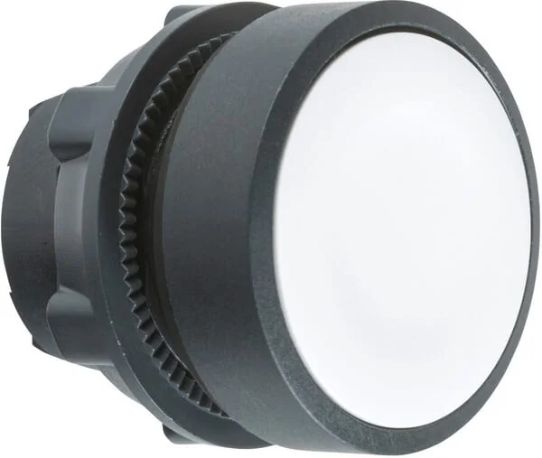 Schneider Electric - ZB5AA1 - Drucktaste Weiss