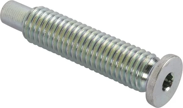 SDF - 203992062 - Bolzen