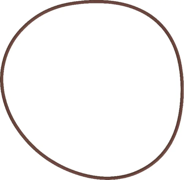 SDF - 215391770 - Brems-O-Ring