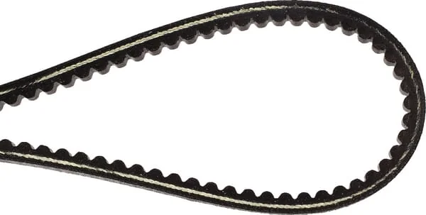Simplicity Snapper - 7012353YP - Keilriemen