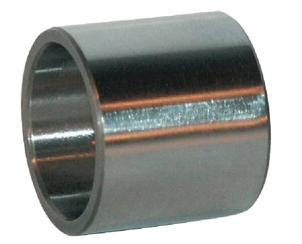 SKF - LR20X25X125SKF - Innenring