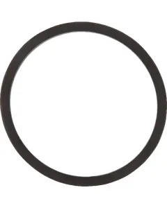 TeeJet - CP12291VI - Dichtung Viton