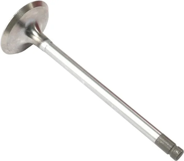 Vapormatic - VPA1400 - Einlassventil (x4)