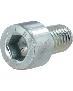 Vogelsang - NSI017 - Innensechskantschraube M10x16 8.8