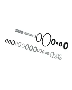 Wabco - 4674070002 - Satz: Dichtung Und Feder