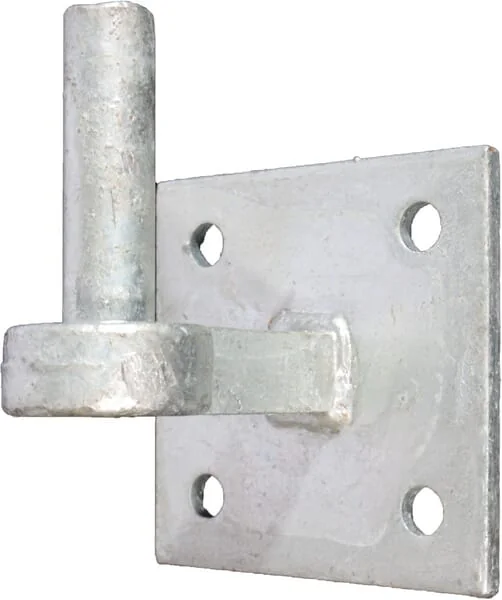 WAELBERS - WAE81831305 - Haken Auf Platte Diameter19x65 100x100