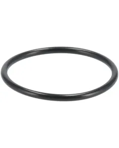 ZF - 0634304654 - O-Ring