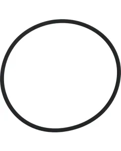 ZF - 0634313809 - O-Ring