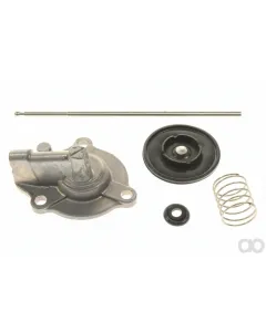 Kawasaki - 430282058 - Membran