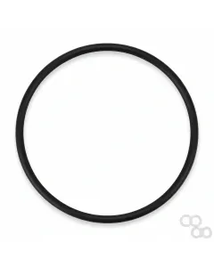 Massey Ferguson - 1440755X1 - O-Ring, Vorderachsdifferential
