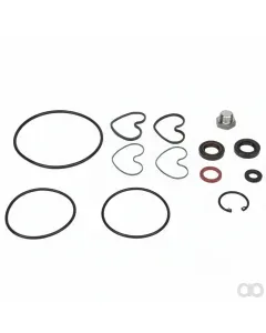 Massey Ferguson - 1810839M92 - Dichtungen Satz