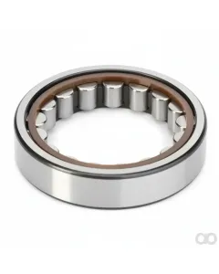 Massey Ferguson - 3387381M1 - Zylindrisches Radialrollenlager