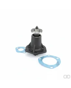 Massey Ferguson - 3600973M91 - Wasserpumpe, Ohne Riemenscheibe