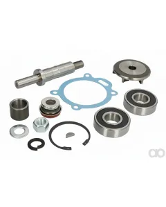 Massey Ferguson - 3640327M91 - Wasserpumpen-Reparatursatz