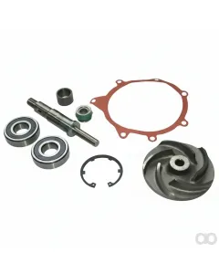 Massey Ferguson - 3641379M91 - Wasserpumpen-Reparatursatz