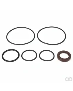 Massey Ferguson - 3903020M91 - Satz, Gelenk