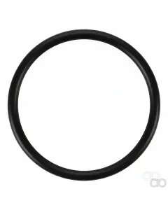 Massey Ferguson - 400590X1 - O-Ring