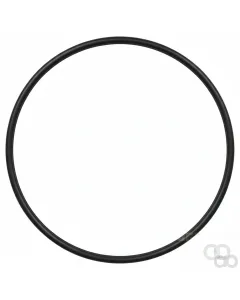 Massey Ferguson - 70937165 - Ring