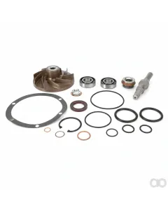 Massey Ferguson - V836862271 - Wasserpumpen-Reparatursatz