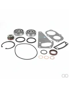 Massey Ferguson - V836862613 - Wasserpumpen-Reparatursatz