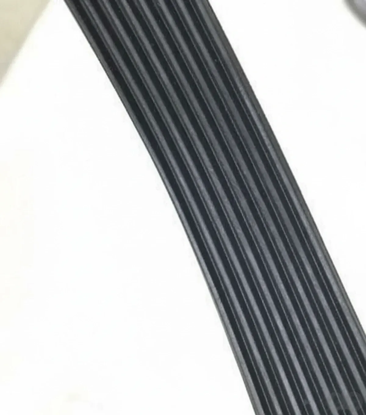 Optibelt - 8PJ559 - Rippenriemen