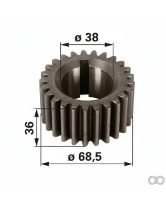 Prillinger - 00121722 - Zahnrad Kurbelwelle, Anstelle