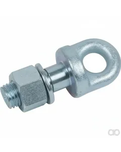 Prillinger - 00161743 - Augenschraube M20x2,5 DM20 Laenge 60 mm