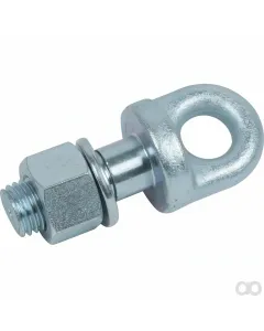 Prillinger - 00161744 - Augenschraube M24x2 DM24 Laenge 60 mm