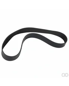 Prillinger - 00310782 - Flachriemen Anstelle Gaspardo
