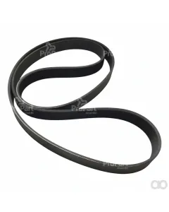 SAME - 01148874 - Riemen