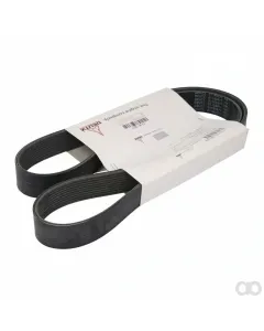 SAME - 01183377 - Riemen