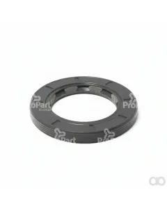 SAME - 04198796 - Dichtung