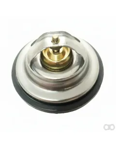 SAME - 04224846 - Thermostat