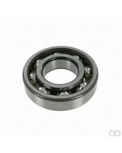 Scania - 1304315 - Reduziergruppenlager 60x130x31