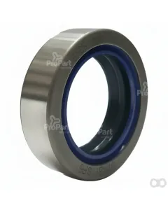 Schlueter - 215291340 - Dichtring