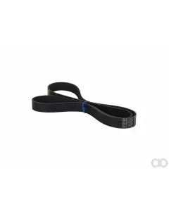 Simplicity - 2157230 - Courroie De Pompe