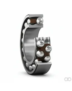 SKF - 1305ETN9 - Selbstausrichtendes Rillenkugellager