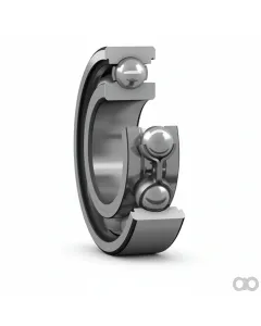 SKF - 6007