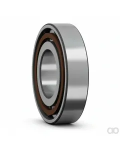 SKF - N310ECP - Kegelrollenlager N 310 ECP