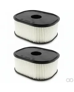 Tecumseh - 359129 - Filter