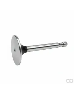 Unbranded - 500014042 - Einlassventil T80