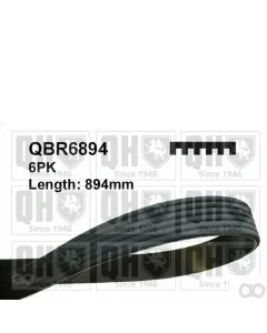 Unbranded - 6PK894 - Rippenriemen