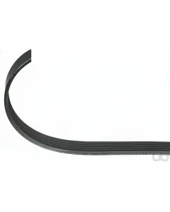 Unbranded - 6PK946 - Guertel