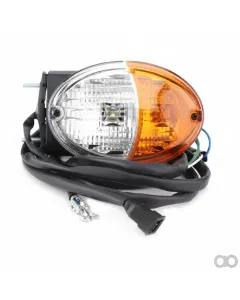 Valtra - V36213200 - Blinker & Standlicht Rechte Seite Gluehbirnen 12V 5W & 12V 21W